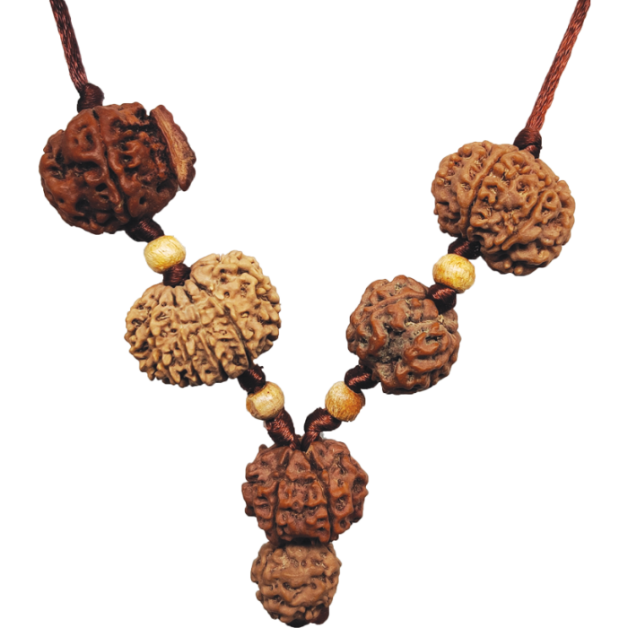Remedy for Education and Academic Success Mala